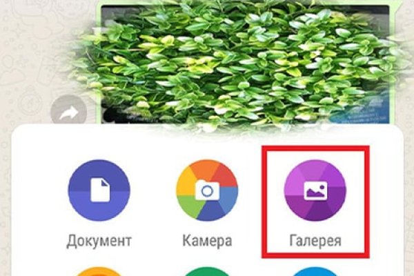 Кракен новый сайт