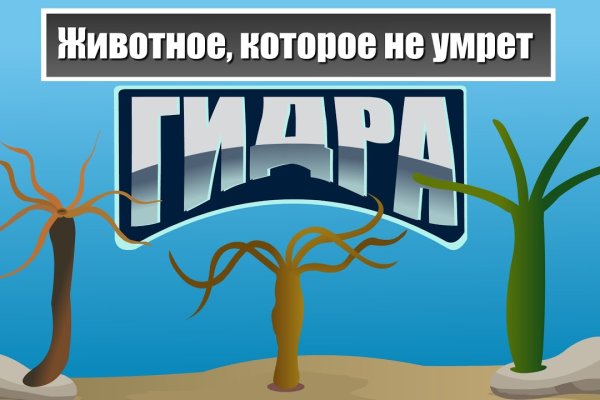 Кракен магазин krakens13 at